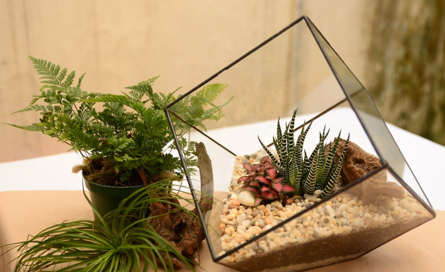 Terrarium decor