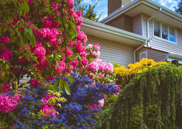 flowers